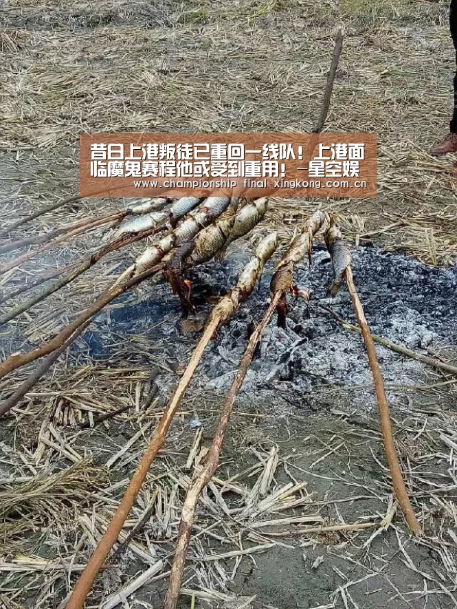 星空娱乐