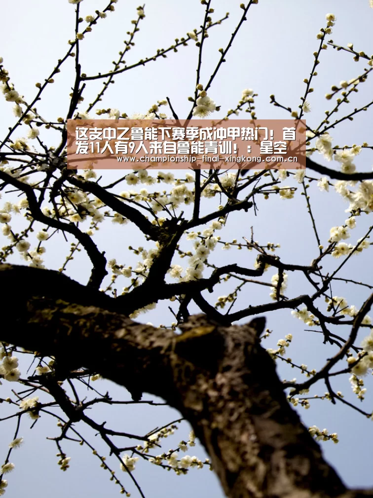 这支中乙鲁能下赛季成冲甲热门!首发11人有9人来自鲁能青训!:星空游戏官网(图1) 星空游戏官网