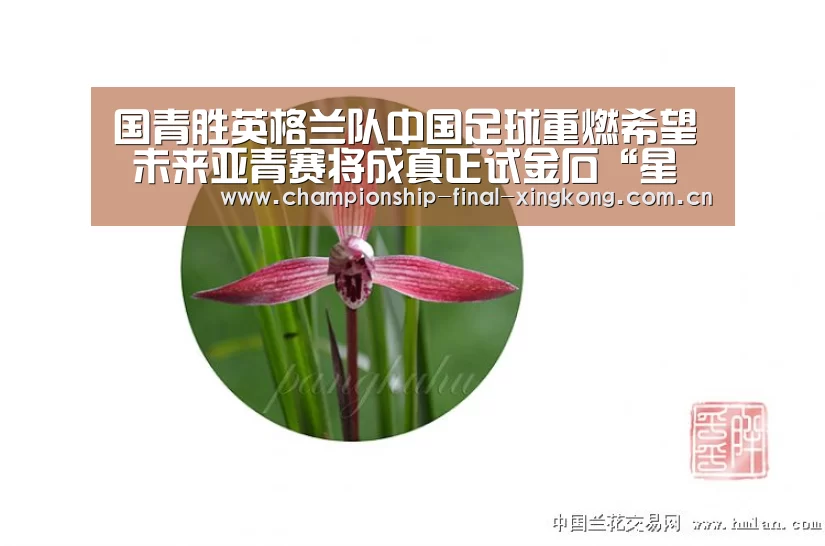 星空娱乐入口